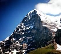 Das war uns ein paar Kübel wert. Das war uns ein paar Kübel wert.