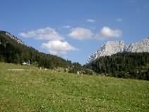 Doo owwe misse ma morje enuff. Doo owwe misse ma morje enuff.