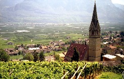 Scheen so durch die Weinberje ze schiewe Scheen so durch die Weinberje ze schiewe